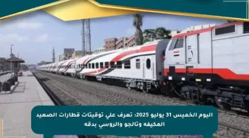 اليوم الخميس 31 يوليو 2025: تعرف على توقيتات قطارات الصعيد المكيفة وتالجو والروسي بدقة